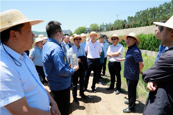 陜西環(huán)保集團復(fù)工復(fù)產(chǎn)促增長項目觀摩會議與會人員走進環(huán)保保隆生態(tài)三秦在延在銅項目