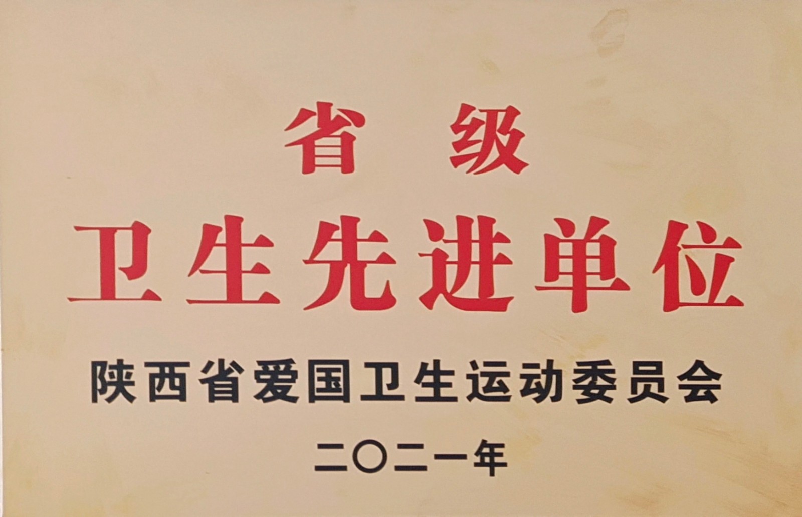 水環(huán)境公司鎮(zhèn)安污水處理廠榮獲“省級(jí)衛(wèi)生先進(jìn)單位”榮譽(yù)稱號(hào)